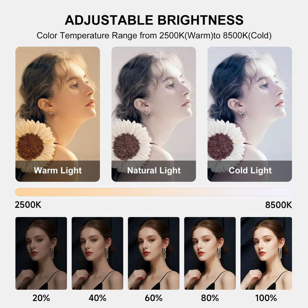 YM200 Camera Ring Light Video Rig